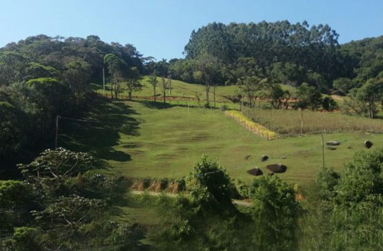Tribunal de Justiça recrudesce posição contra condomínio rural na Serra do Mar