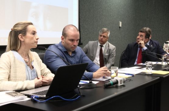 TJ exibe técnica do depoimento especial a deputados da Comissão de Direitos Humanos