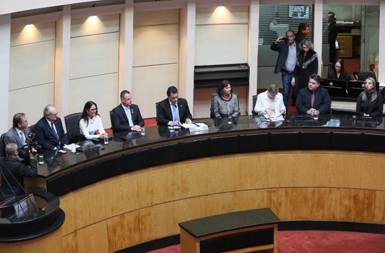 Tribunal e desa. Rosane Wolff têm trabalho em prol da criança reconhecido pela Alesc